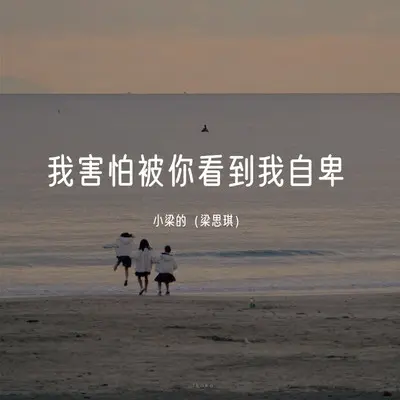 我害怕被你看到我的自卑（DJ Eva版）封面