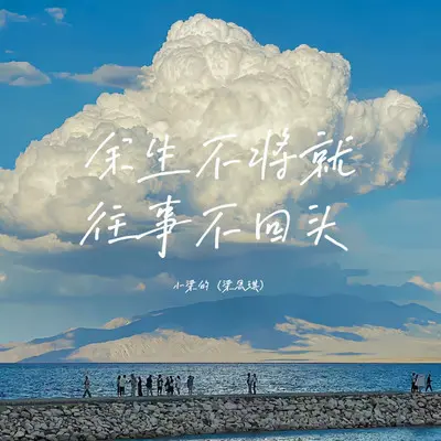 余生不将就往事不回头(DJ Eva版)封面