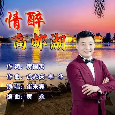 情醉高邮湖封面
