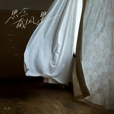 思念藏风里封面