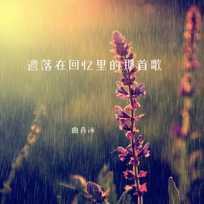 遗落在记忆里封面