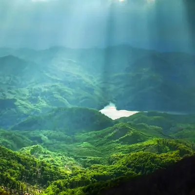 溪流与蛙鸣 助眠白噪音封面