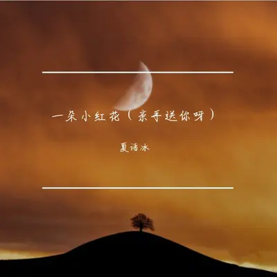 一朵小红花（亲手送你呀）DJ光波版封面