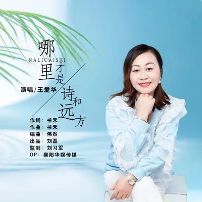哪里才是诗和远方封面
