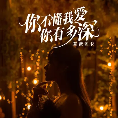 你不懂我爱你有多深封面