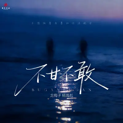 不甘不敢（伴奏） - 龙梅子 / 杨海彪封面
