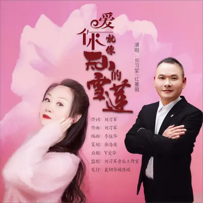 爱你就像天山的雪莲（广场舞） - 刘习军 / 红蔷薇封面