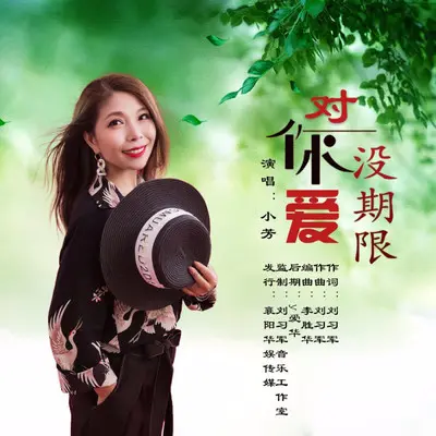 对你爱没期限封面