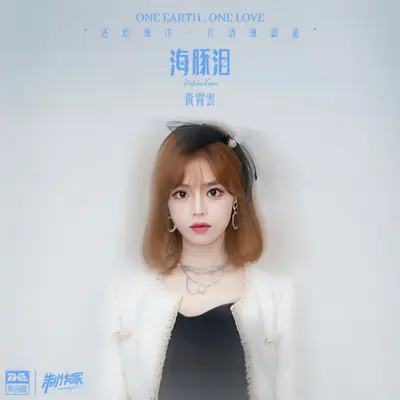 海豚泪封面