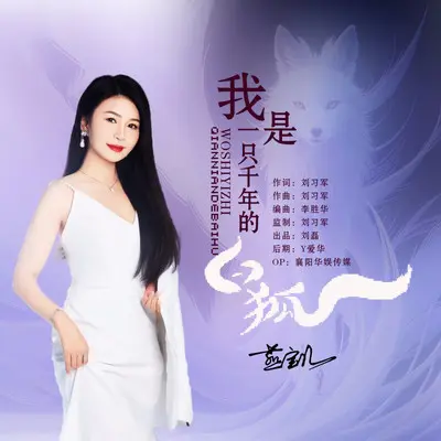 我是一只千年的白狐（DJ版）封面