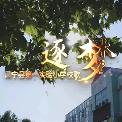 逐梦封面