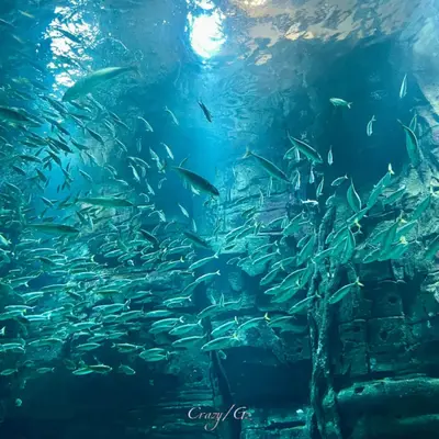 海底封面