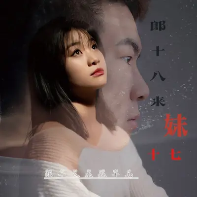 郎十八来妹十七封面
