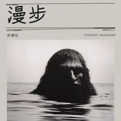 漫步 - 宋博旭封面