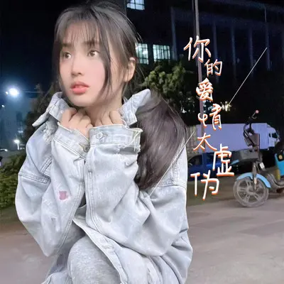 你的爱情太虚伪封面