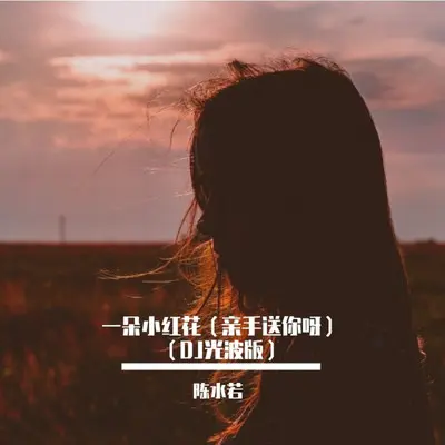 一朵小红花（亲手送你呀）DJ光波版 - 陈水若封面