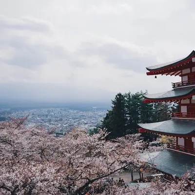 长安忆（热播版）封面