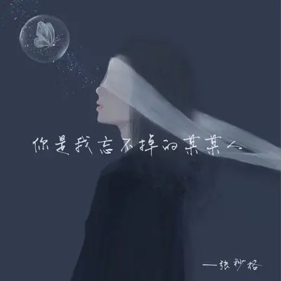 你是我忘不掉的某某人封面