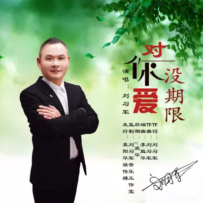 对你爱没期限封面