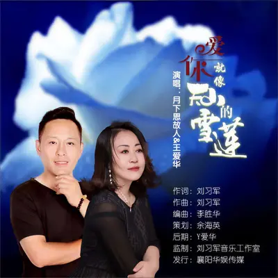 爱你像天山的雪莲（走心版） (DJ伟然版) - 月下思故人 / 王爱华封面