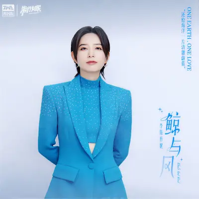 鲸与风封面