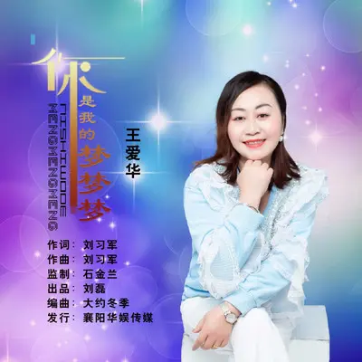 你是我的梦梦梦 - 王爱华封面