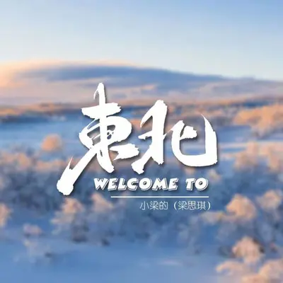 Welcome to东北DJ唢呐版 - 小梁的（梁思琪）封面