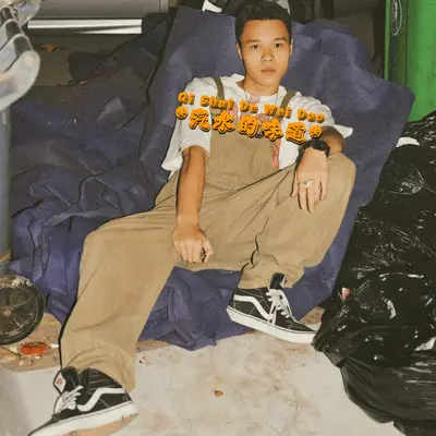汽水的味道封面