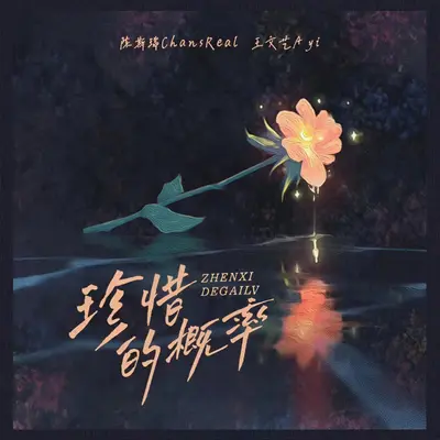 珍惜的概率封面