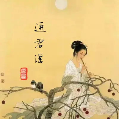 送君谣封面