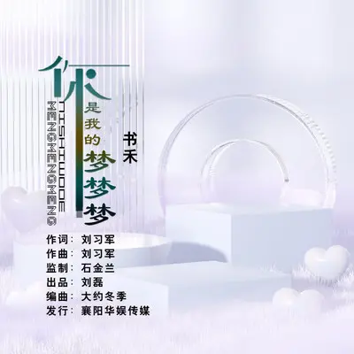 你是我的梦梦梦（烟嗓版）封面