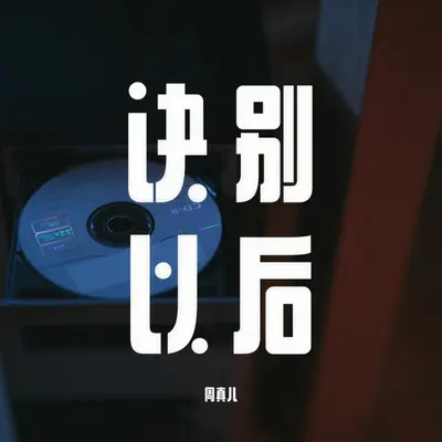 诀别以后封面