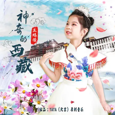 神奇的西藏封面