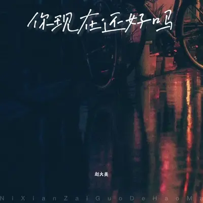 你现在还好吗封面