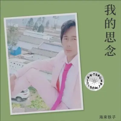 为爱情流过多少泪封面