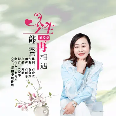 今生能否再相遇【王爱华】封面
