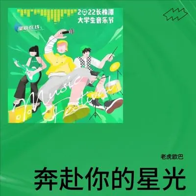 奔赴你的星光封面