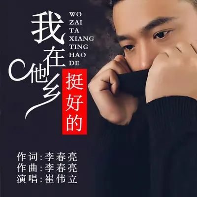 我在他乡挺好的  DJ狂嗨版封面