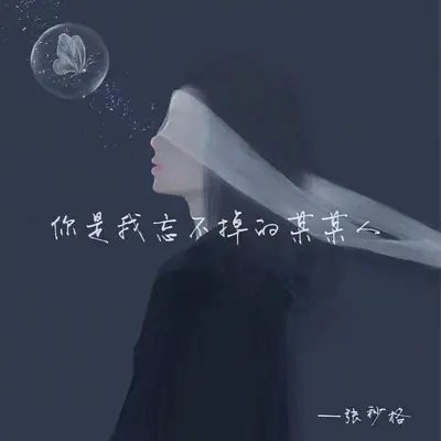 你是我忘不掉的某某人 (DJ版)封面