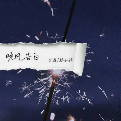 晚风告白封面