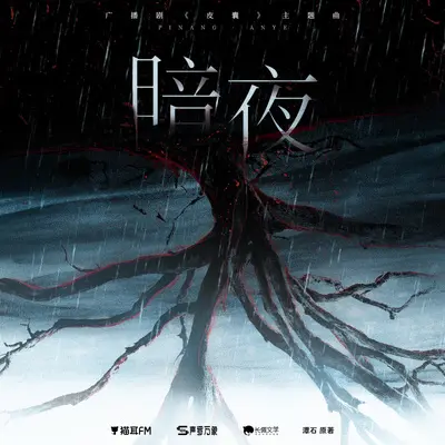 暗夜封面