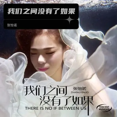我们之间没有了如果（DJ沈念）封面