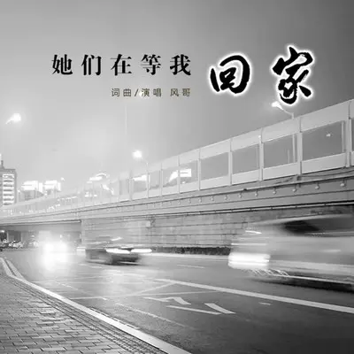她们在等我回家 - 风哥 / 菲雪封面