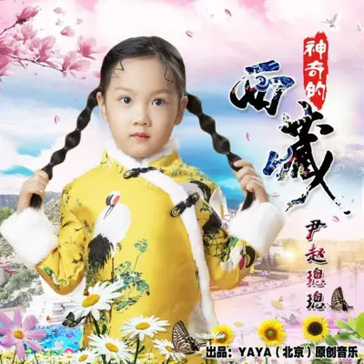 神奇的西藏封面