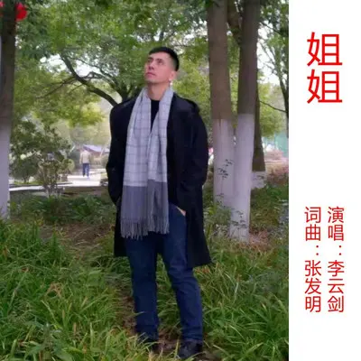 姐姐封面