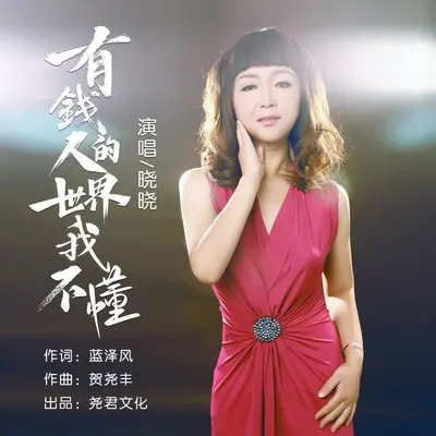 有钱人的世界我不懂封面
