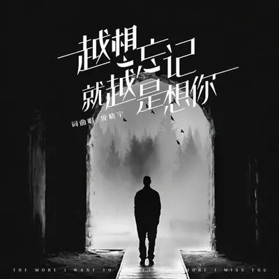 越想忘记就越想你封面