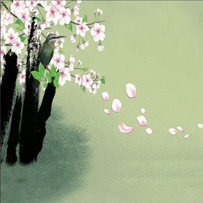 蝶恋轻舞 - 陈子崔封面