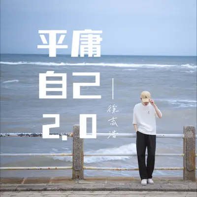 平庸自己 - 徐志浩封面