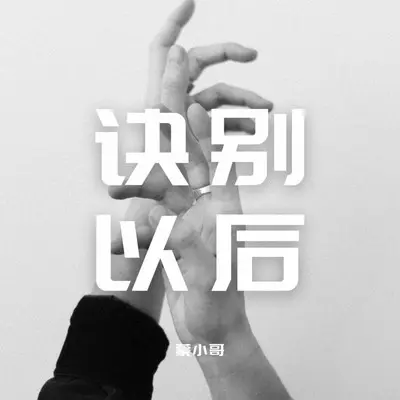 诀别以后封面